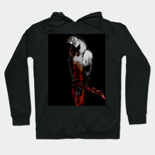 BEAUTIFUL SILVERED MACAW Hoodie